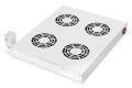 Digitus DN-19 FAN-4-HO tacka wentylatorowa do szafy rack - 2809651