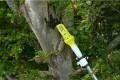 Sekator na wysięgniku akumulatorowy 18V ONE+ RY18PLA-0 RYOBI - 2914179