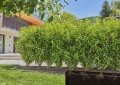 Gardena 13501-20 System nawadniania kroplowego - 2914379