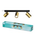 Philips Sufitowy/ścienny reflektor punktowy Idris 3 x - 2915303