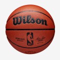 Wilson NBA Authentic Wewnętrz i na wolnym powietrzu Brązowy - 2915879
