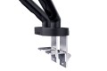 Digitus Podwójne mocowanie monitora, 2x 35", 2x 10 kg - 2918681