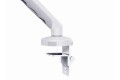 Digitus Pojedynczy uchwyt do monitora, 35", 10 kg - 2918708