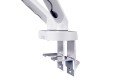 Digitus Podwójne mocowanie monitora, 2x 35", 2x 10 kg - 2918713