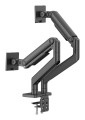 Digitus Podwójne mocowanie monitora, 2x 45", 2x 20 kg - 2918722