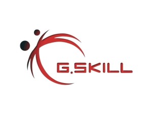 G.Skill 8GB DDR3-1600 moduł pamięci 1 x 8 GB 204-pin SO-DIMM