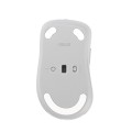 ASUS Wireless Mouse MD102 myszka Uniwersalne Po prawej stronie RF Wireless + Bluetooth Optyczny 1600 DPI - 2935002