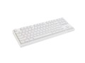 GENESIS Thor 404 TKL klawiatura Gaming USB QWERTY Amerykański międzynarodowy Biały - 2946739