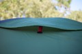 Coleman Darwin 4 Plus 4 os. Zielony Namiot kopułowy / Igloo - 2926608