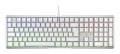 Klawiatura CHERRY XTRFY MX 3.1 - Pełny rozmiar - Podświetlenie - USB-C - QWERTZ - Niemiecki - Przełącznik kluczykowy: CHERRY MX2A Brązowy - biały - 2955108