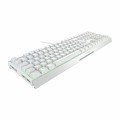 Klawiatura CHERRY XTRFY MX 3.1 - Pełny rozmiar - Podświetlenie - USB-C - QWERTZ - Niemiecki - Przełącznik kluczykowy: CHERRY MX2A Brązowy - biały - 2955111