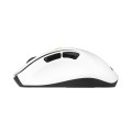 ASUS MD105 MOUSE/VT-GN myszka Uniwersalne Po prawej stronie RF Wireless + Bluetooth 2400 DPI - 2955364