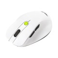 ASUS MD105 MOUSE/VT-GN myszka Uniwersalne Po prawej stronie RF Wireless + Bluetooth 2400 DPI - 2955362