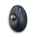 Kensington Trackball Pro Fit Ergo TB550 - 2955395