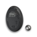 Kensington Trackball Pro Fit Ergo TB550 - 2955405