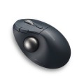 Kensington Trackball Pro Fit Ergo TB550 - 2955399