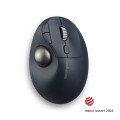 Kensington Trackball Pro Fit Ergo TB550 - 2955406