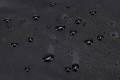Thule Chasm TCCO222 Black Wózek Miękka skorupa Czarny 22 l Poliester - 2936987