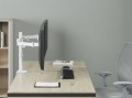 Equip 650167 uchwyt / stojak do monitorów 81,3 cm (32") Biurko Biały - 2959150