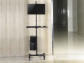 Wyposażenie - Wózek na płaski panel / obudowa komputera - plastikowa, stal nierdzewna - rozmiar ekranu: 43,2-81,3 cm (17"-32") - wolnostojący - 2959230
