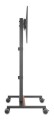Stojak mobilny TV 34-55" do 35kg regulowany podłogowy - 2959331