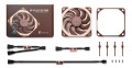 Noctua NF-A12x25 G2 PWM Obudowa komputera Wentylator 12 cm Beżowy 1 szt. - 2924225