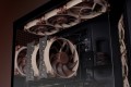 Noctua NF-A12X25 G2 PWM SX2-PP system chłodzenia komputerów Obudowa komputera Wentylator 12 cm Beżowy 2 szt. - 2924304