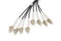 Digitus Zakończony fabrycznie uniwersalny kabel światłowodowy typu breakout, wielomodowy OM4, 8 włókien, LC/UPC – LC/UPC - 2927068