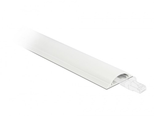 DeLOCK Korytko kablowe 30 x 8 mm - długość 1 m białe - 2926130