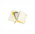 Moleskine Dziennik Passion Baby to personalizowany arkusz wspomnień, pozwala na dokumentowanie i trwałe zachowanie kluczowych momentów z pierwszych lat życia dziecka, 400 stron. - 2962016
