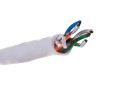 Dahua Technology PFM920I-5EUN kabel sieciowy 305 m Cat5e U/UTP (UTP) - 2428447