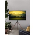 TECHLY STOJAK PODŁOGOWY TRIPOD TV LED/LCD 45-65 CA (OUTLET) - 1464454