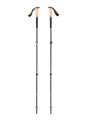 Kije trekkingowe BLACK DIAMOND Trail Cork Trekking Poles laurel green - 2999152