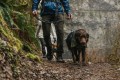 Płaszcz przeciwdeszczowy dla psa Ruffwear Sun Shower Jacket - midnight blue rozmiar: s - 3023648