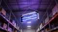 Lampa owadobójcza NOVEEN IKN240 Economic - 2984988