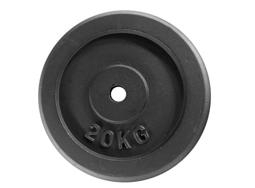 20KG CAST IRON PLATE WITH TWO HAND GRIPS - 2989108
