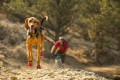 Ruffwear Grip Trex - 2983256