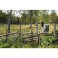 Fjällräven Sten - 3023636