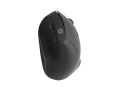 Conceptronic Orazio Ergo Wireless myszka - 2987189