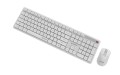 GEMBIRD BEZPRZEWODOWY ZESTAW KLAWIATURY + MYSZ SILENT KEY PRO BUSINESS, BIAŁY, UKŁAD US - 2987230