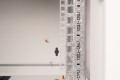 Digitus Szafa sieciowa wisząca Unique 19" 7U rack 600x450, drzwi szyba, szary, niedzielona, złożona, 100kg - 3026768