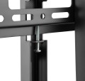 Neomounts NS-M4000BLACK 2,67 m (105") Czarny - 3029691
