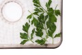 ELDOM SUSZARKA DO GRZYBÓW, WARZYW I OWOCÓW SG520 400W REGULACJA TEMP. 35-70 STOPNI,5IĘĆ DUŻYCH TAC 32X25 CM , TIMER 05-24 H - 3031890