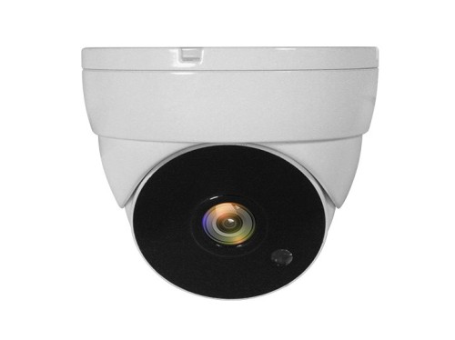 LevelOne ACS-5302 kamera przemysłowa Kopułowa Kamera bezpieczeństwa CCTV Wewnętrzna / zewnętrzna Sufit - 2973070