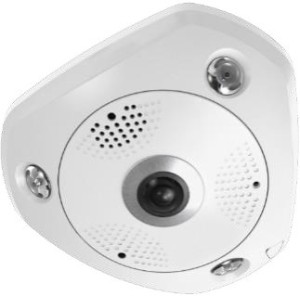 Kamera kopułkowa typu rybie oko LevelOne IPCam 12MP/H.265/IR/ 12W/PoE/IP67