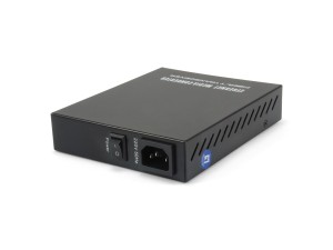 LevelOne GVM-1000 - Media konwerter - Ethernet, Fast Ethernet - 10Base-T, 100Base-TX, 1000Base-T, 1000Base-X - RJ-45 / SFP (mini-GBIC)