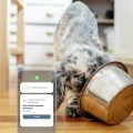Robot odkurzająco-mopujący iRobot Roomba Combo j9+ (OUTLET) - 2232178
