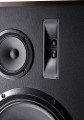Kolumna głośnikowa Magnat Transpuls 1500 Black / Dark Wood - 3033564