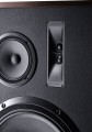 Kolumna głośnikowa Magnat Transpuls 1500 Black / Dark Wood - 1030618