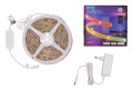Govee Taśma LED Strip Light S z przezroczystą powłoką ochronną 10m RGBIC, Wi-Fi, Bluetooth H612CCD11 - 3038151